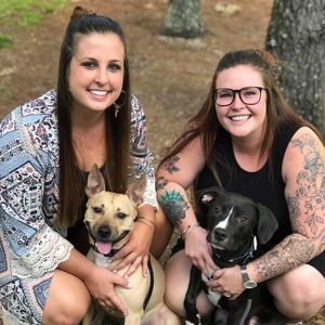 Meet your Posher, Casey